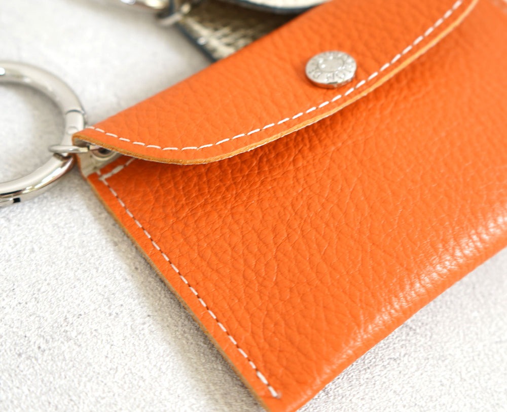 Cat Multi-Flap Mini Case & Charm 1868