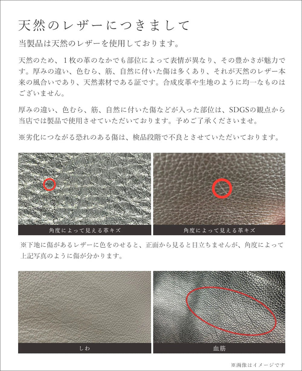 Pouch with Pearl Handle – SA Logo 1738-sa