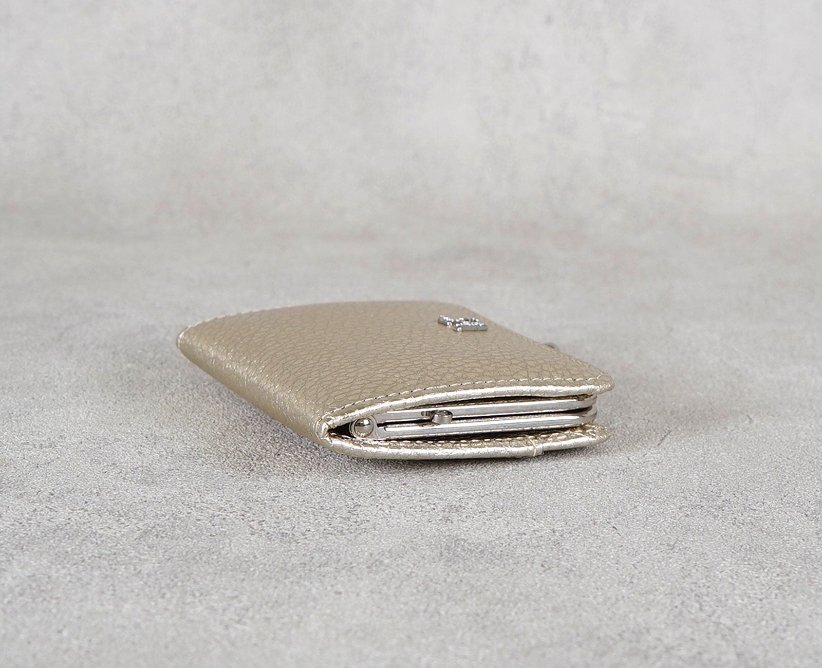 Clasp Coin Case 1712-sa