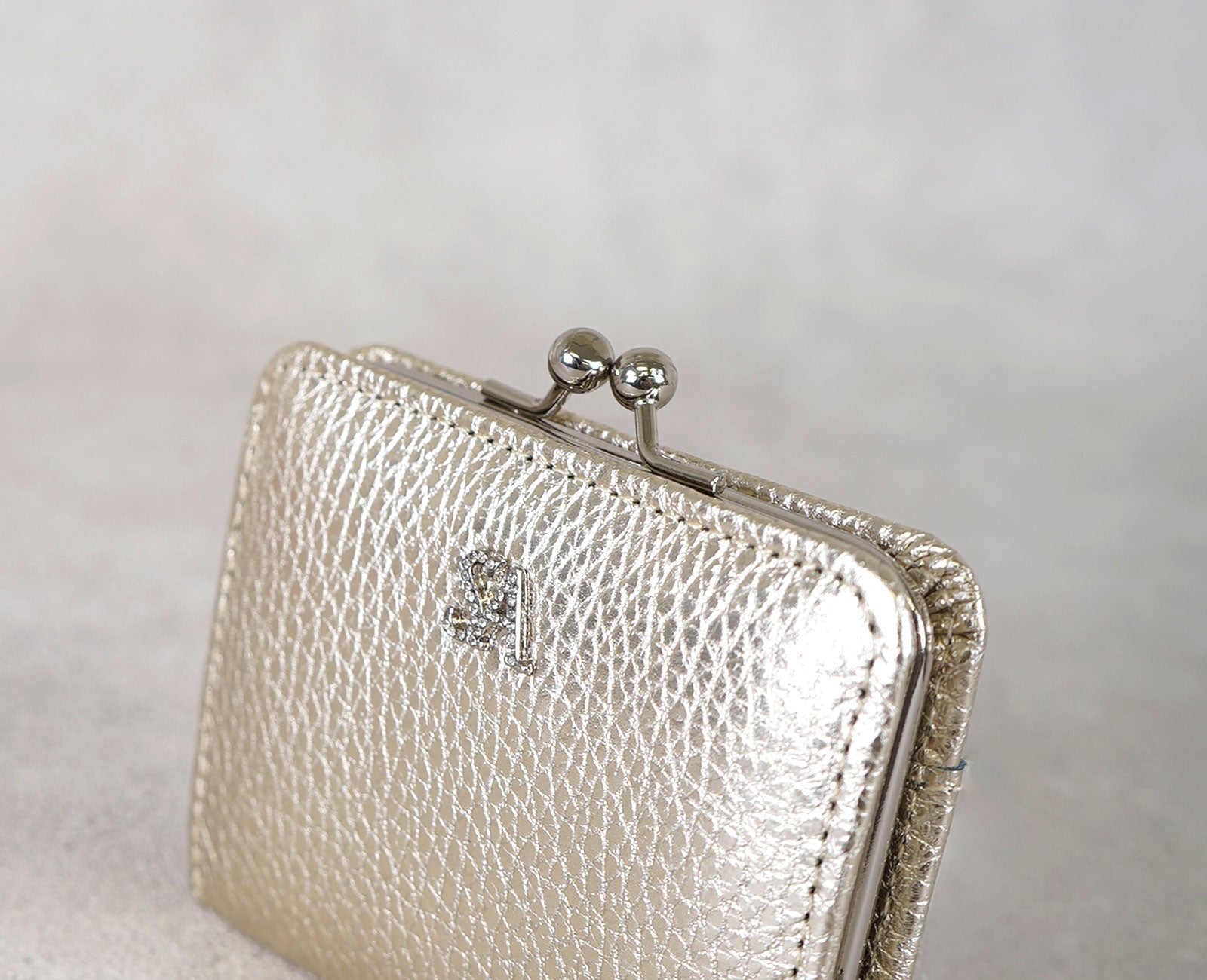 Clasp Coin Case 1712-sa