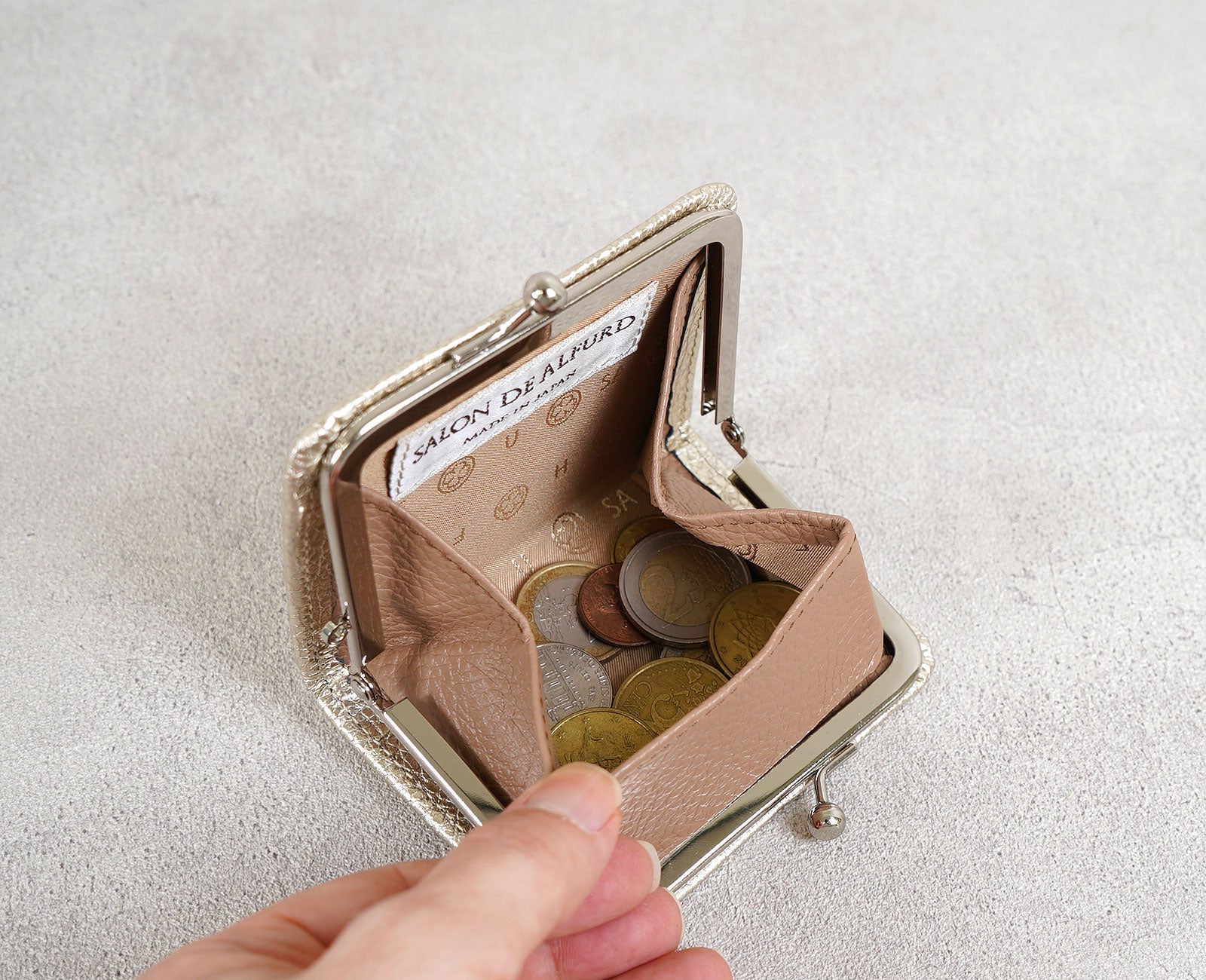 Clasp Coin Case 1712-sa
