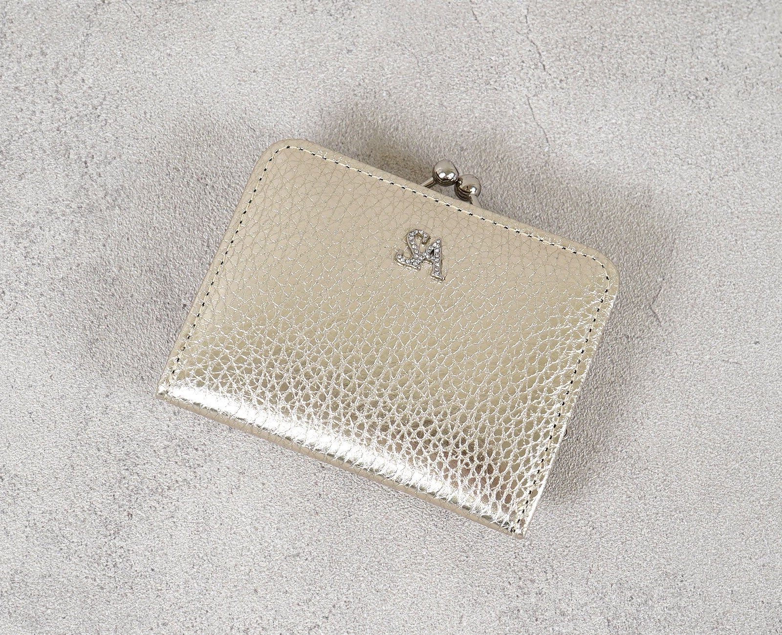 Clasp Coin Case 1712-sa