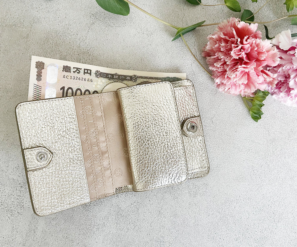 Online Store Exclusive – Bi-Fold Mini Wallet 1880