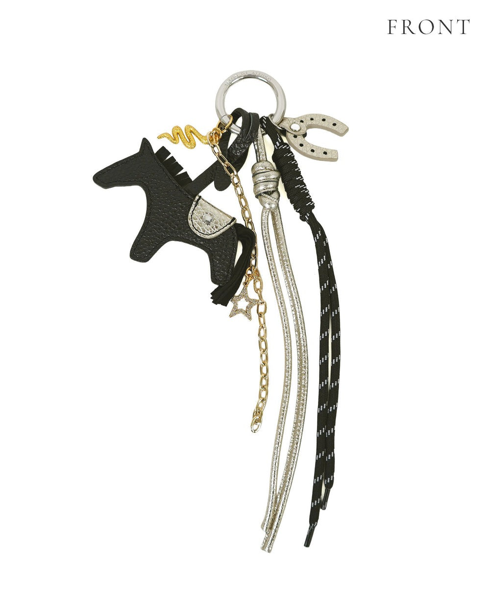 Career Luck Charm 1919