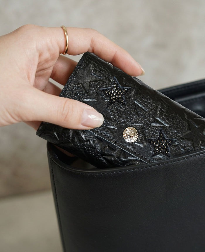 Star-Embossed Key Case 2010